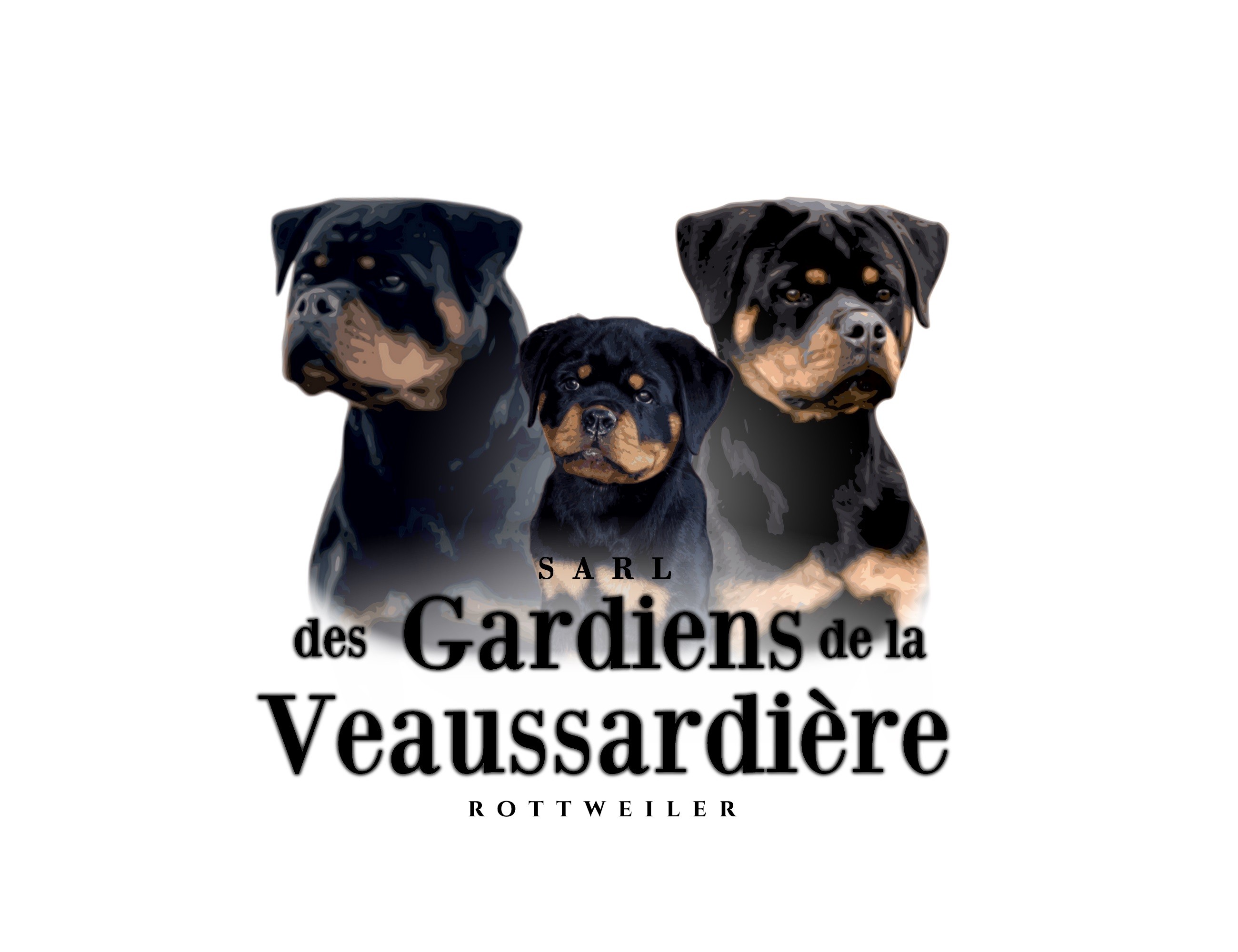 Des Gardiens De La Veaussardière