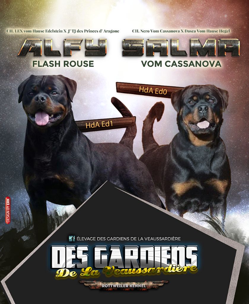Des Gardiens De La Veaussardière - Alfy Flash Rouse / Salma Vom Cassanova