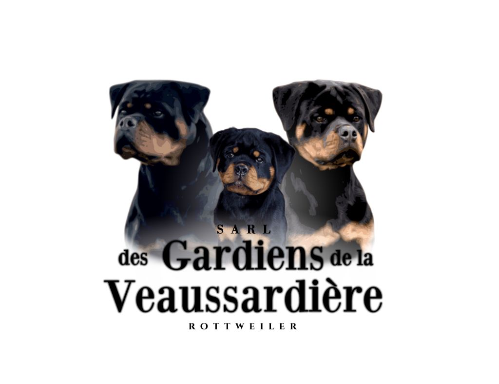 www.le-rottweiler.com
