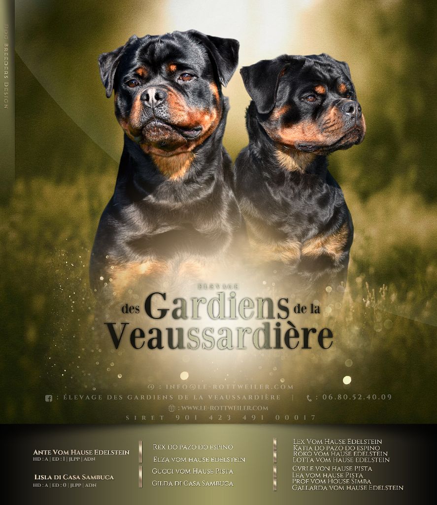 Des Gardiens De La Veaussardière - Lisla di Casa Sambuca / Ante Vom Hause Edelstein