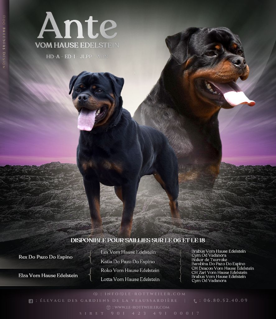 Ante Vom Hause Edelstein